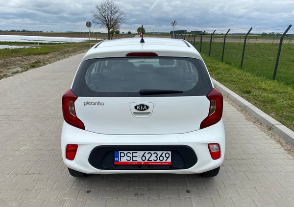 Kia Picanto cena 33900 przebieg: 47000, rok produkcji 2018 z Kórnik małe 67